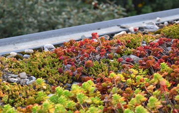 the cost of Habertoft green roof installation