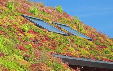 Habertoft living roof systems